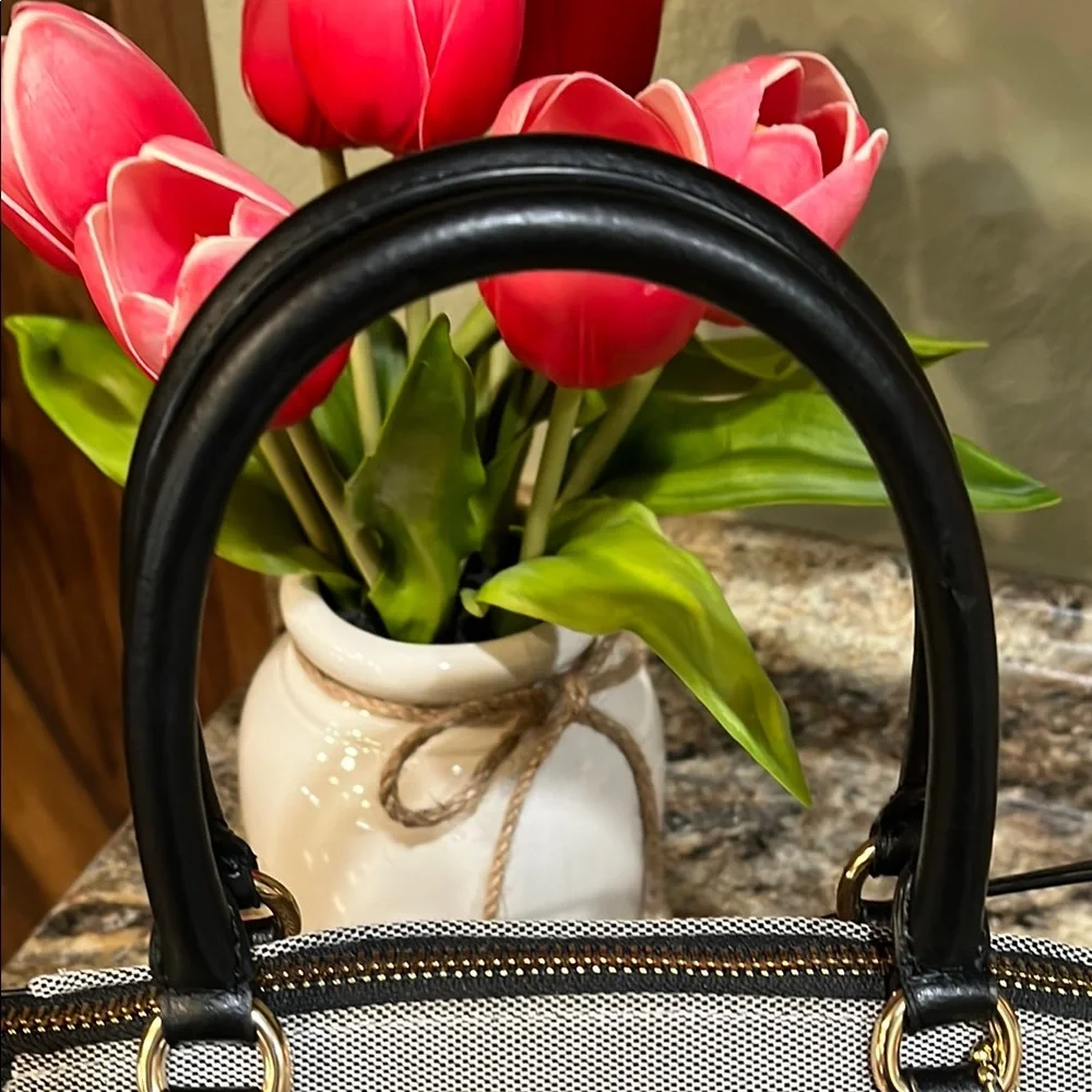 COACH EUC Jacquard Elise Satchel BAG